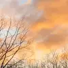 samantha_sommer - @samantha_sommer - TikTok