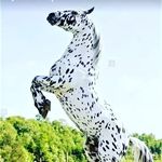 samsovsorbon1 - @samsovsorbon1 - Instagram