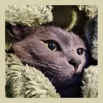 samsorrow - @samsorrow0906 - Instagram