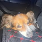 samsorrow - @samsorrow_4 - Instagram