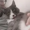 sam soule - @sam_amuse - TikTok