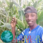 Sparta Sam - Facebook