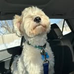 Sam Spataro - @samspataro1 - Instagram