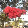 Samantha Spataro912 - @sammysam0727 - TikTok