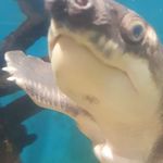 Sam Speight - @smallfry2134 - Instagram