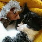 Sam - @sam.spike - Instagram