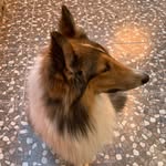 Sam Spike - @sam_spike_gabs - Instagram