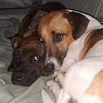 Sam.Spike - @sam.spike_ - Instagram