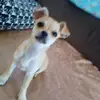 Samantha Spinardi - @samspina - TikTok