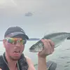 Sam Spires - @vanila_gorilla - TikTok