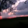 sammyspitzz - @sammyspitzz - TikTok