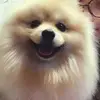 Spitz_Sam - @spitz_sam - TikTok