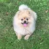 Spitz Sam - @spitzsam - TikTok