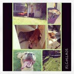 Esam Harbord - @essplintersam - Instagram