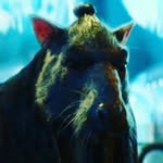 pacov iz kanalizacije - @ja_sam_splinter - Instagram
