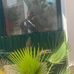 Sam Spriggs - Facebook