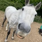 Sam Spriggs - @samspriggs - Instagram