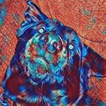 Sam and Sprout - @sam_and_sprout - Instagram