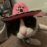 sam - @samhatesbrusselsprouts - Instagram