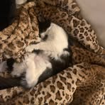 Sam Staats - Facebook