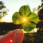 Anita Meier - @anita.samstagerngmail.com_ - Instagram
