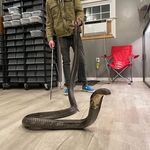 Sam Stamper - @king_coil - Instagram
