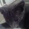 sammie stanaland - @sammiestanaland - TikTok