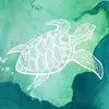 SamS.🐢 - @samstanaland333 - TikTok