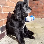 Sam standard - @aaskdkrokr_ - Instagram
