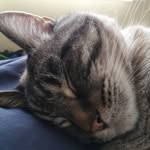 sam starcher - @sunflowerseeds123123 - Instagram