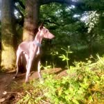 Samantha Brown - @sam.starling444 - Instagram