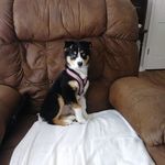 Sam Steadman - @steadmansam - Instagram