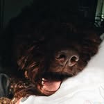 Samy Kermit Steinmann - @samy.steinmann - Instagram