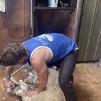 Sam Stevenson - Facebook