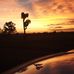 Sam Stokes - Facebook