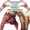 Iptysam Suleiman - @iptysamsuleiman - TikTok