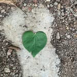 Sam Sunderland - @ssunderland5 - Instagram