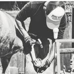 Sam Sunderland • Farrier in Langley, B.C. | ✟ 🇫🇮 🇸🇪 🇨🇦⁣ ✟ - @sunderland_samm - Instagram