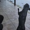 samswafford895 - @samswafford895 - TikTok