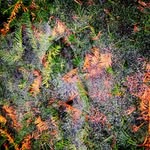 Sam Sweeten - @sam_photography145 - Instagram