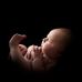 Sam Swiatek Photography - Facebook