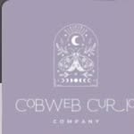 Samantha Swiger-Wheeler - @cobwebcurioco - Instagram
