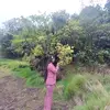 💗Samata 🕊️💖 - @samjhanal843 - TikTok