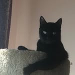 Sam Tabone - @chipmanny - Instagram