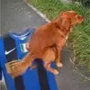 Sam Tabone - @sam.tabone - TikTok