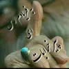 Sami Tabrizi - @sami.tabrizi - TikTok