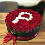 samtabrizi0987 - @samtabrizi0987 - Instagram