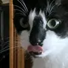 Sam and Jason Tackett - @sam.tackett33 - TikTok