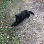 Sam Tackett - @tackman_333 - Instagram