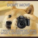 Sam Tackett - @indy_havoc_25 - Instagram
